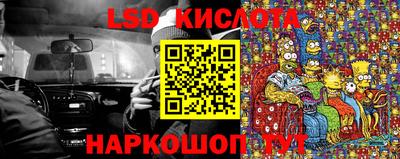 стаф Донецк