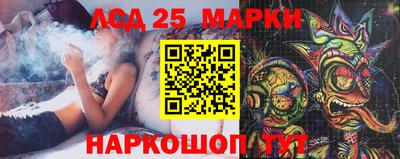 крисы Дубна