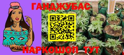 стаф Донецк