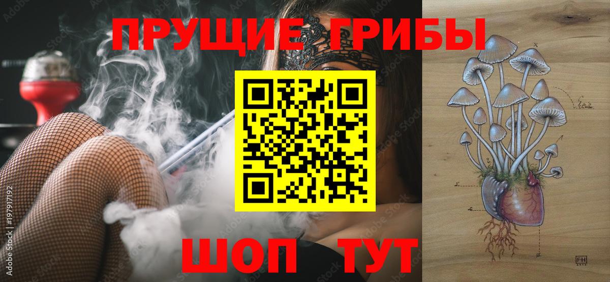 Галлюциногенные грибы GOLDEN TEACHER Кашира