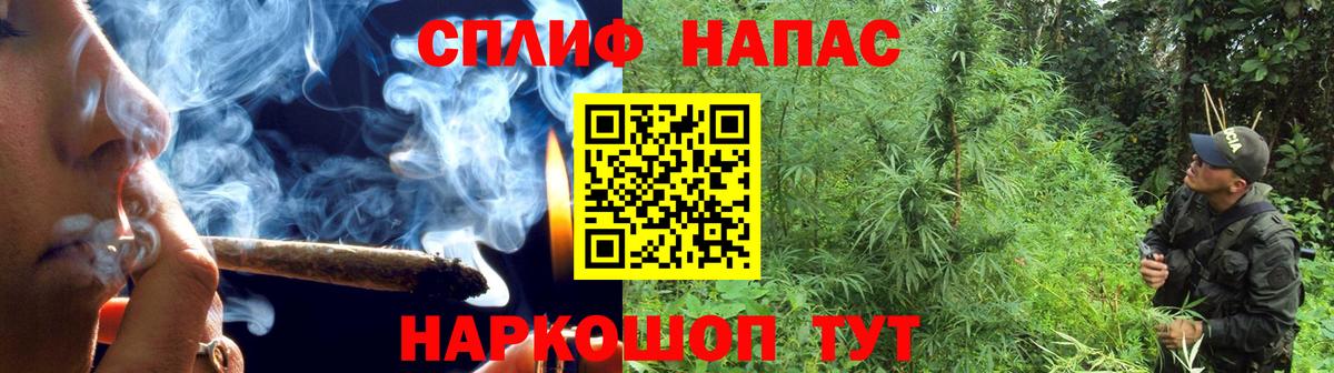 Бошки марихуана семена Кашира